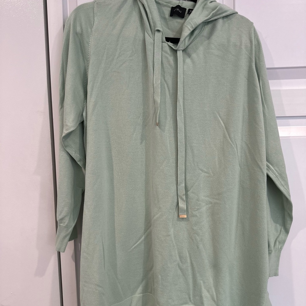 Cyrus Long Hoodie Sweater Mint Green Spring Side Slit 3x